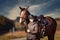 Horse head portraits with rider on the meadow.