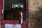 Horse headshot in equestrian club, closeup, daylight