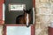 Horse headshot in equestrian club, closeup, daylight