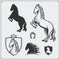 Horse heraldry coat of arms. Labels, emblems and design elements for sport club.