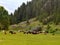 Horse herd enjoys mountain pasture