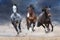 Horse herd galloping on desert dust