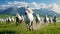 Horse herd run in beautiful green meadow