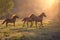 Horse herd run at dawn light