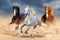 Horse herdin desert