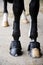 Horse hooves with horseshoe close up