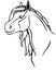 Horse. Horse head, portrait - linear picture for coloring. Beautiful horse head with a long mane.