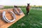 Horse without horseshoes on the paddock during the sunset. 4 horseshoes mounted on a wooden board.