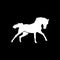 Horse icon,sign,best 3D illustration