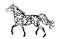 Horse Illustrations