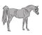 Horse, isolated contour drawing of a beautiful elite Arab