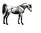 Horse, isolated grey monochrome image  in low poly style