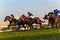 Horse Jockeys Racing Durban July