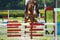 Horse jump a hurdle