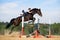 Horse jumping