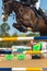 Horse Jumping Closeup