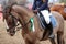 Horse jumping contest. Equestrian sports. Horsegirl sitting in saddle