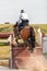 Horse jumping during horse eventing cross-country