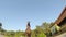 Horse jumping hurdle at sunset,