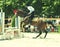 Horse jumping hurdles