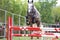 Horse loose jumping on breeders event outdoors