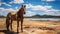 Horse In Madagascar: A Stunning Depiction Of Nature\\\'s Beauty