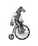 A horse man in a suit rides a bicycle. Food delivery man. Fashion animal character. Hand drawn woodcut outline sketch