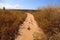 Horse manure along an Upper Newport Bay Nature Preserve hiking t