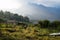 Horse on a meadow along Lago Atitlan with mountain peaks, San Juan la Laguna, Guatemala, Central America
