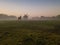 Horse and mill in foggy morning on the field. calm sad depressive mystical atmosphere