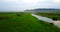 The Horse on a misty meadow by the pond. fog Country landscape