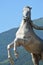 Horse Monument - Horse Tamer
