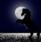 Horse in the moonlight