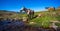 Horse on mountain pasture