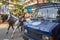 Horse mounted police patrolling streets in Kolkata downtown, West Bengal, India.