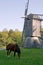 Horse and old windmill