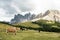 Horse over Dolomite landscape Geisler Odle mountain Dolomites Group Val di Funes