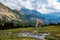 Horse over Dolomite landscape Geisler Odle mountain Dolomites Group Val di Funes