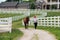 Horse and Owner Trot down a Farm Lane