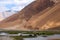 Horse at Pangong Lake in Ladakh