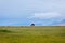 Horse in a pasture with yurts, Kyrgyzstan