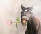 Horse with pink rose in mouth on bokeh background