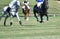 Horse Polo Ball in Match