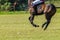 Horse Polo Player Abstract Closeup Action