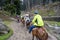 Horse pony riding special activities for tourism are walking on the moutain of Laripora village Pahalgam, Jammu and Kashmir state,