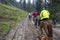 Horse pony riding special activities for tourism are walking on the road of Laripora village Pahalgam, Jammu and Kashmir state, In
