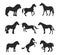 Horse pony stallion isolated black silhouette different breeds color farm equestrian animal characters vector