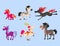 Horse pony stallion vector breeds color farm equestrian mammal domestic animal mane zoo character illustration.