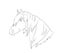 Horse portrait, lines, vector