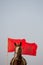 Horse portrait with a red Moroccan flag and clear sky